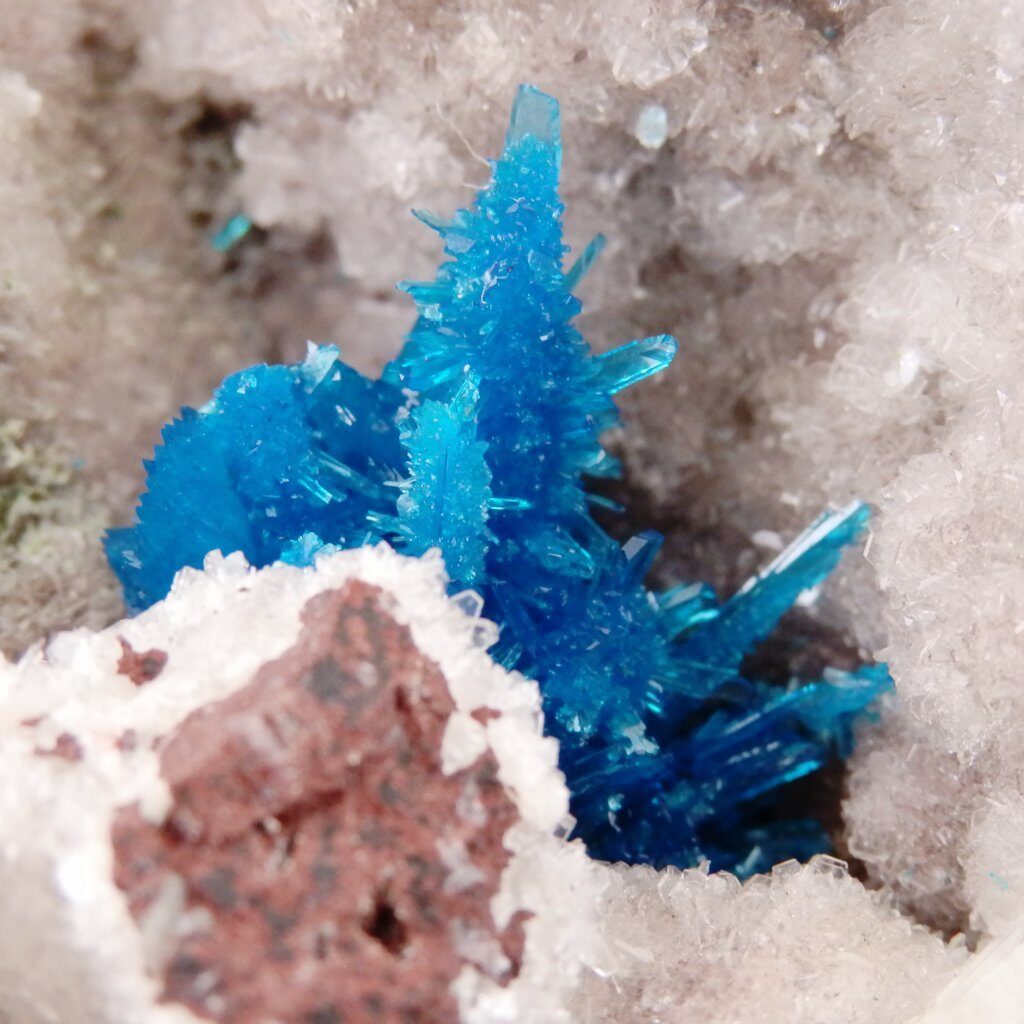 Helena Cristais Uberlândia  (34) 3210-2122 / 99893-2122 whatsapp